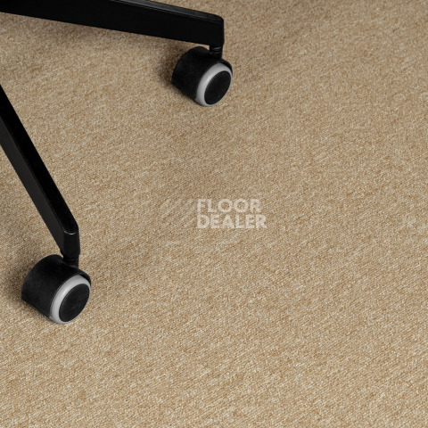 Haima Atom 08 Beige фото 7 | FLOORDEALER